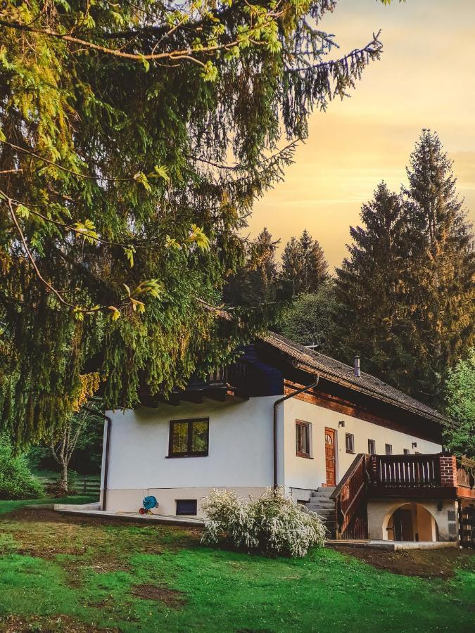Ferienhaus Mooshuben Daire Mariazell Dış mekan fotoğraf